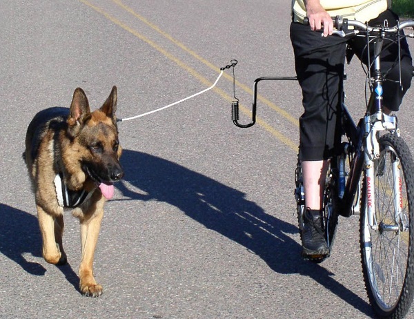 Bike Dogs Lead