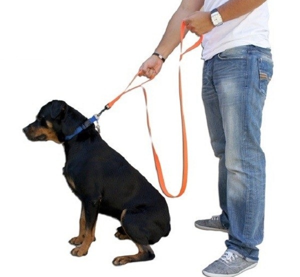 Dual Handle Lead