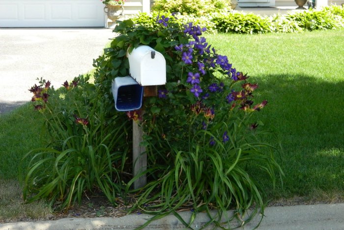 Old-fashioned-Mail-Boxes