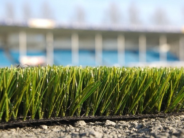 Artificial Grass