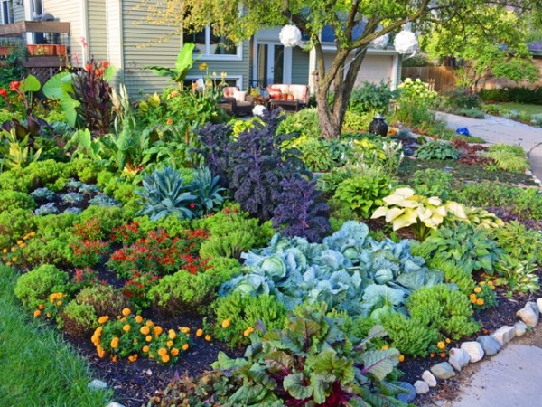 Edible Garden