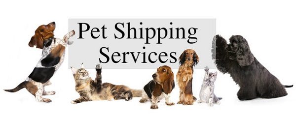 pet shipping 2