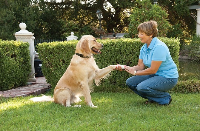 anti dog barking device