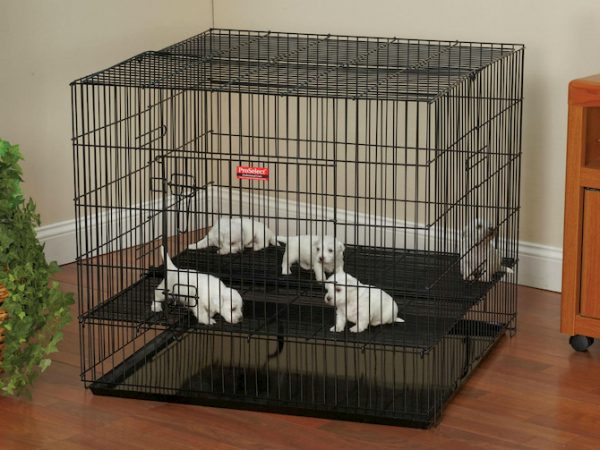 puppies playpen