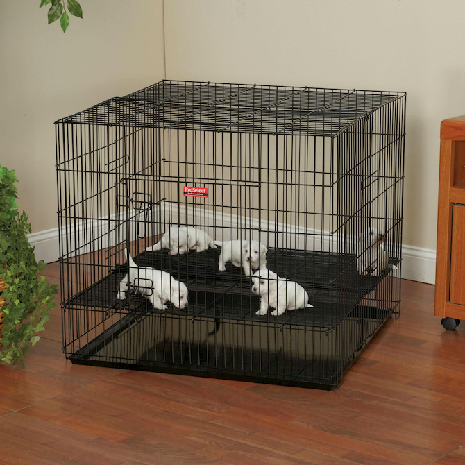 used puppy playpen