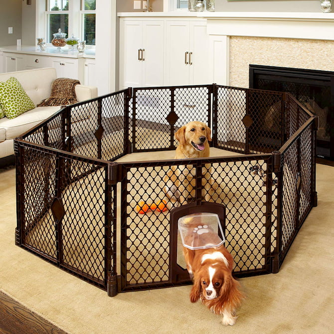 puppy exercise pen