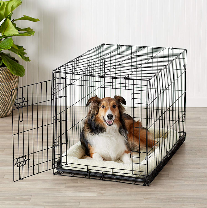 puppy playpen