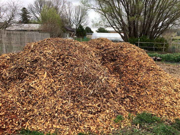 wood chips