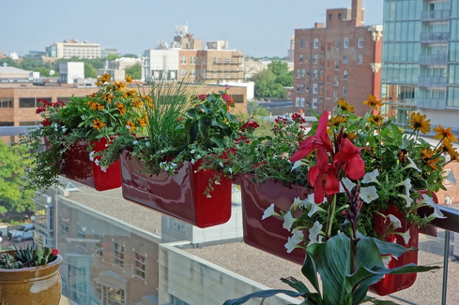 Self-Watering Planters