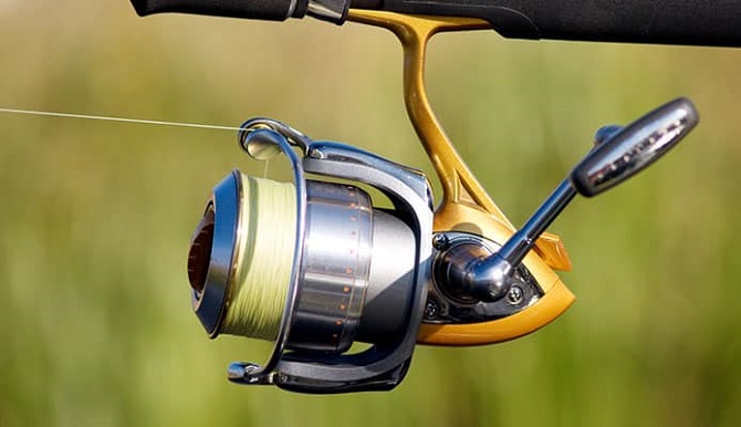 Daiwa-reels