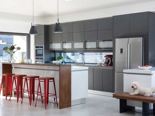 gray kitchen with red details and dog sitting