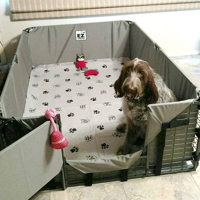 dog whelping box