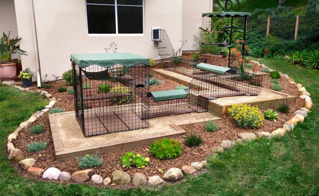 cat enclosure in the yard