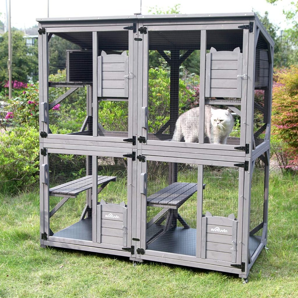 cat enclosure