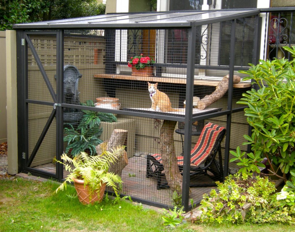 cat enclosure