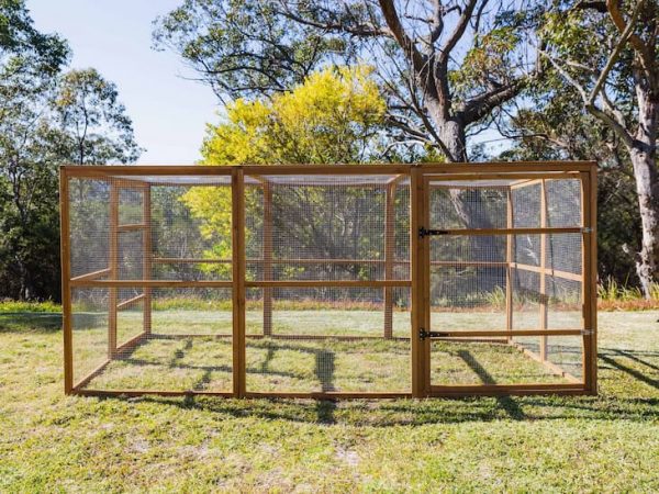 large cat enclosure