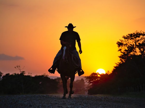 modern cowboy look wardrobe