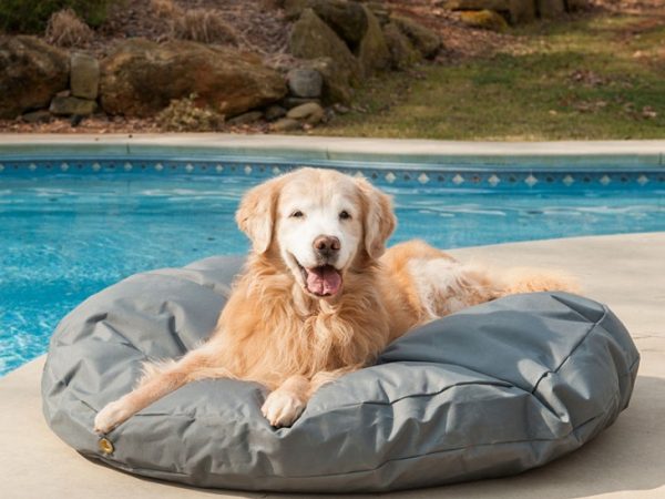 outdoor-round-waterproof-dog-bed