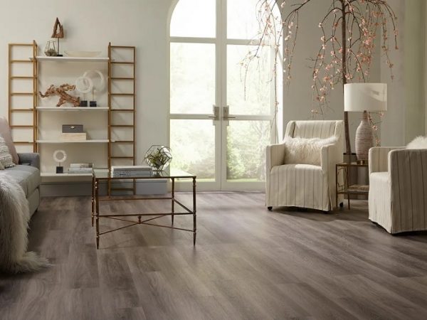 Living room with vinyl flooring