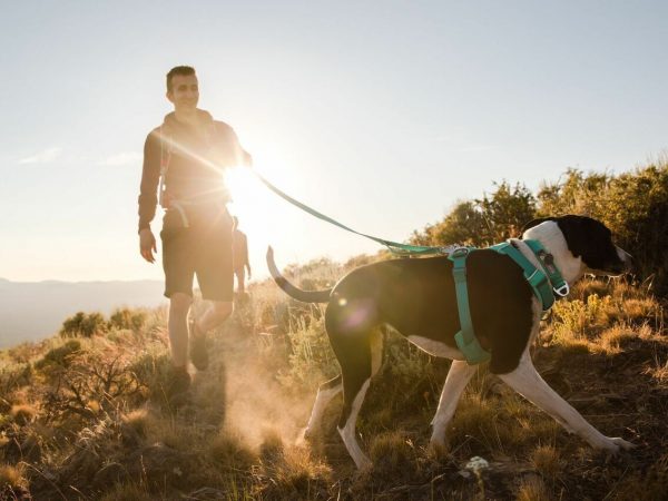 A man with a dog on a hike