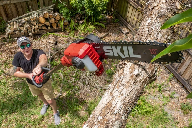 pole saw  cutting tree