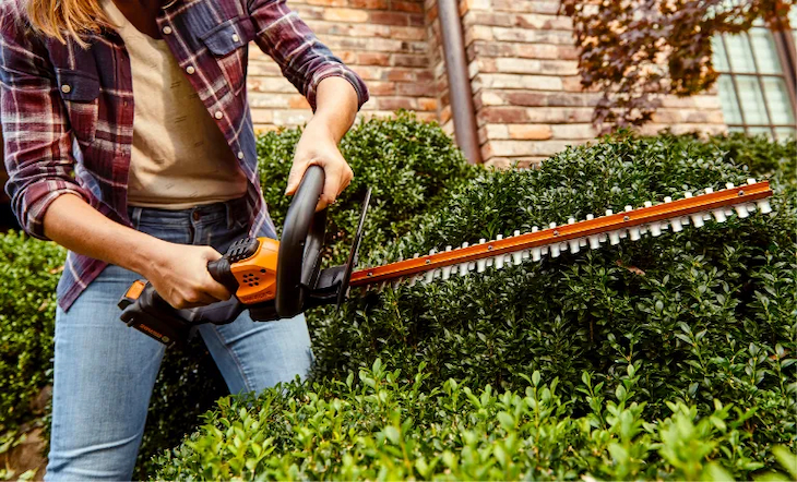 hedge trimmer