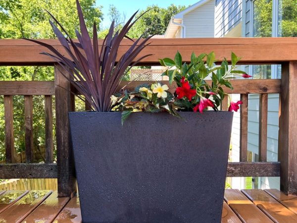 self watering planter