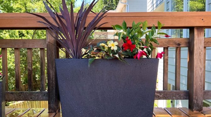 self watering planter