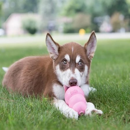 Chewing toy