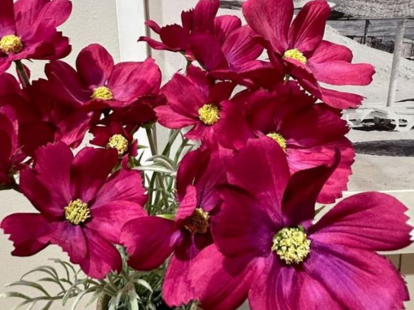 artificial-plants-decorating