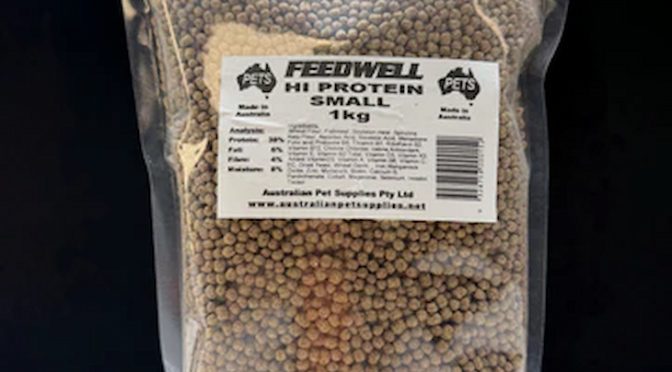 high-protein-fish-food